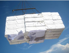 Cargo Cleanliness Supervision